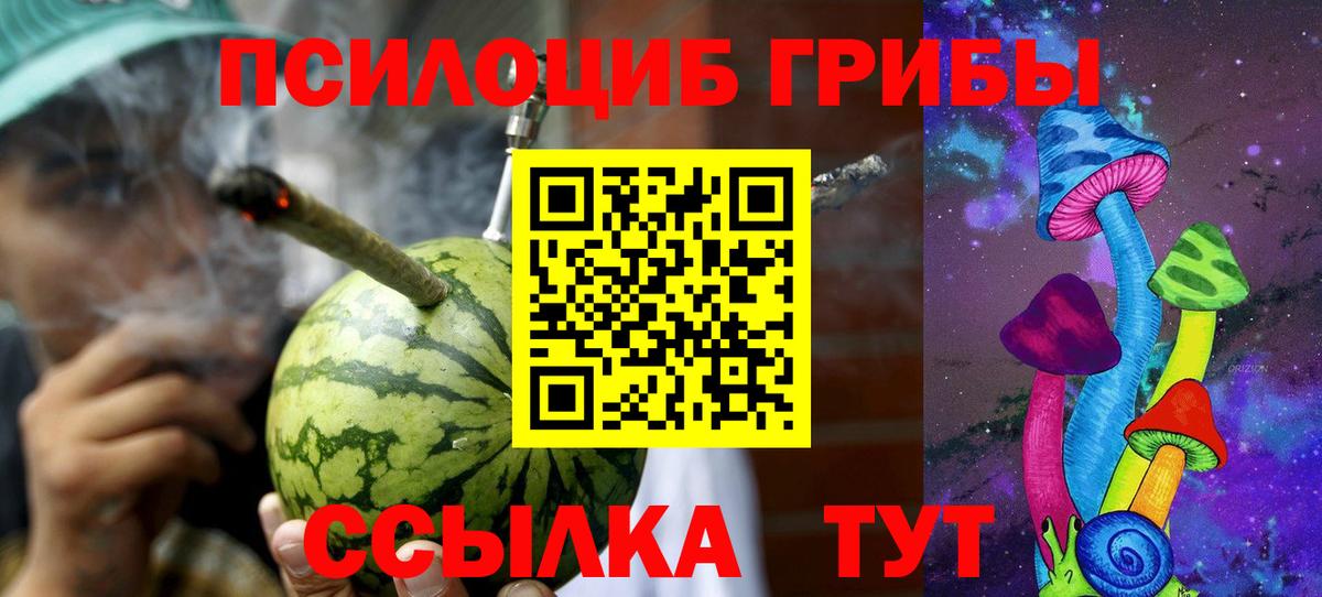 Сафоново  Галлюциногенные грибы Psilocybe  Вход с VPN 