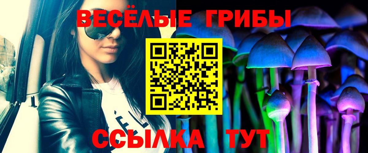 Псилоцибиновые грибы GOLDEN TEACHER Сафоново